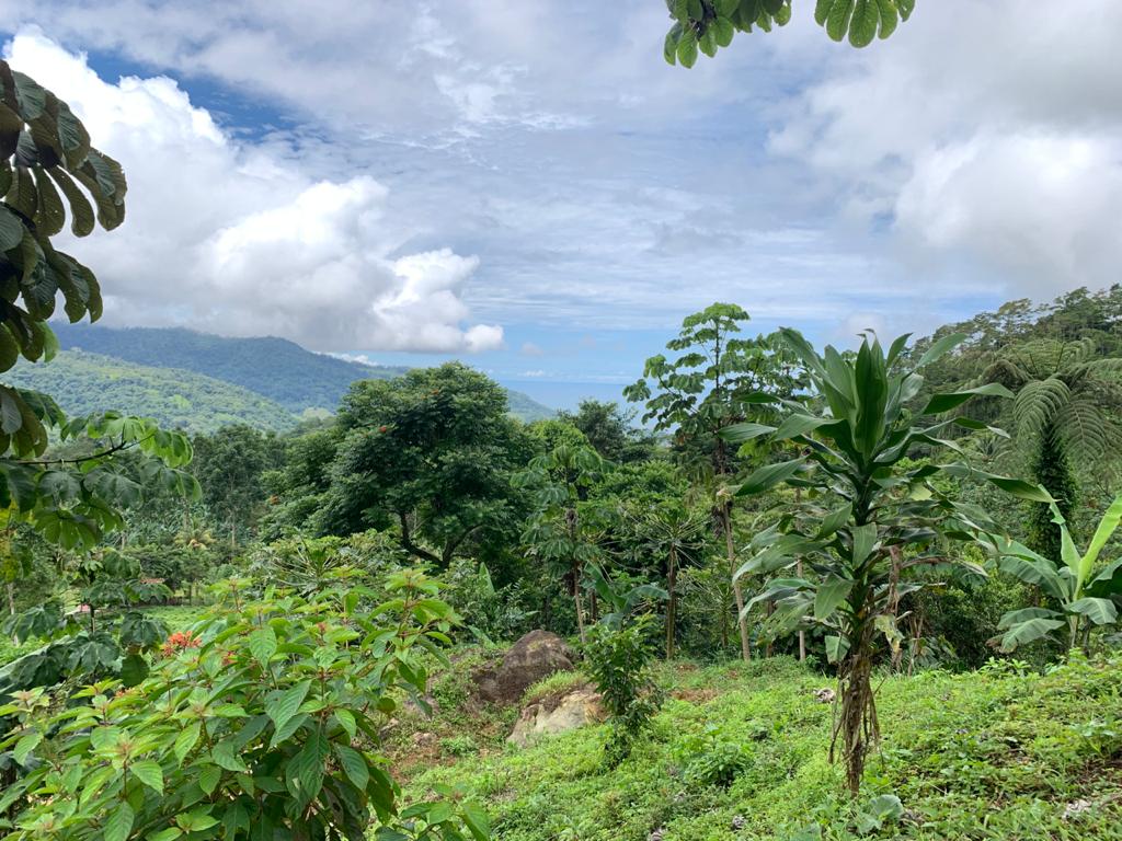 0 bed Land For Sale in Uvita, Puntarenas - thumb 8