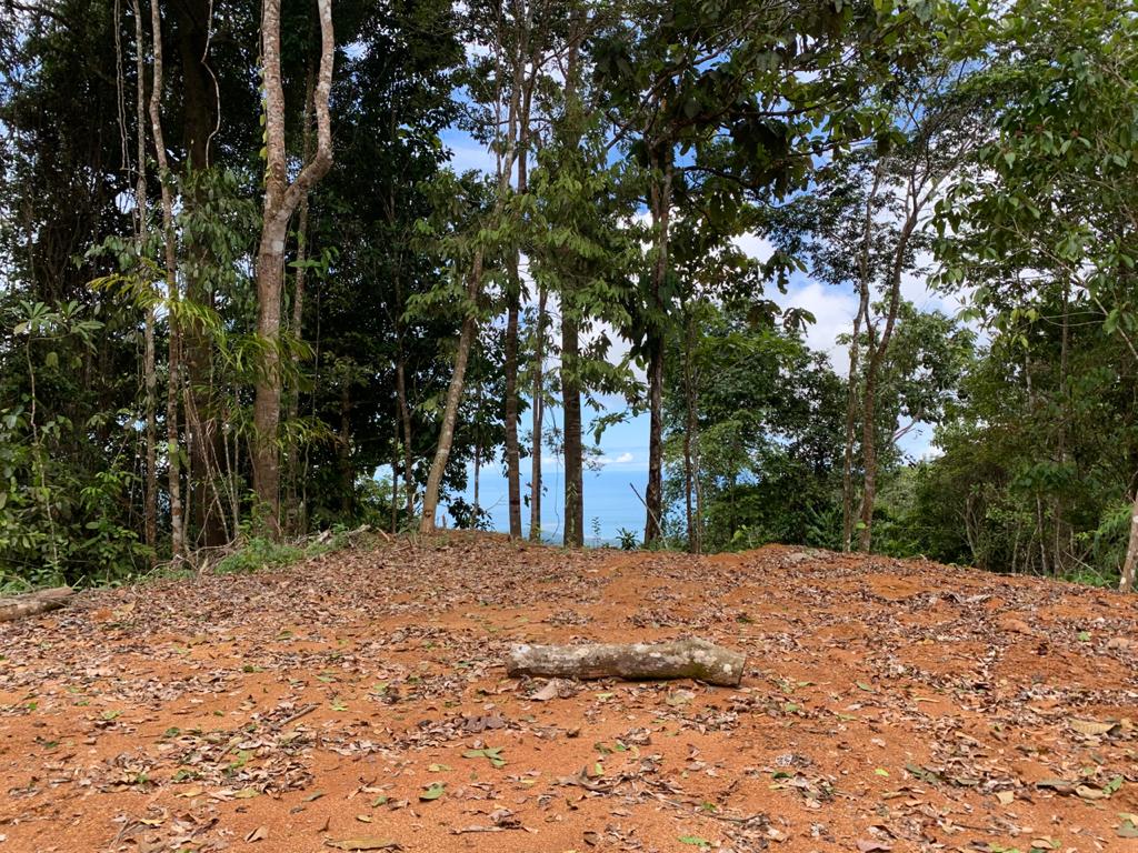 0 bed Land For Sale in Uvita, Puntarenas - thumb 10