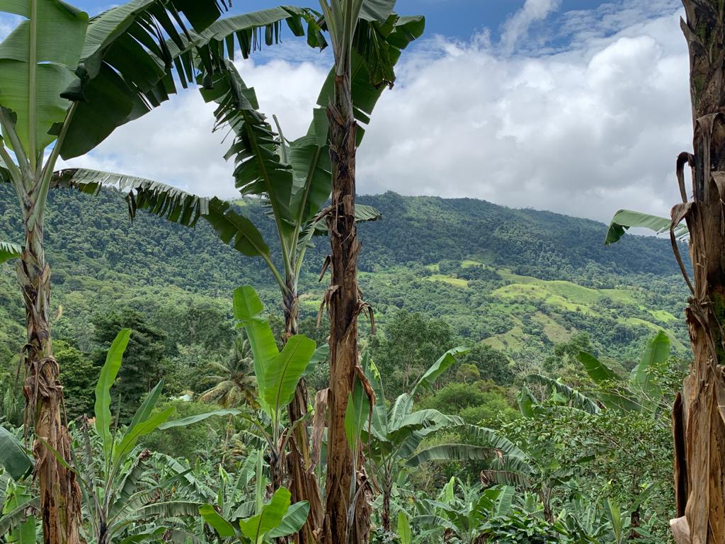 0 bed Land For Sale in Uvita, Puntarenas - thumb 7