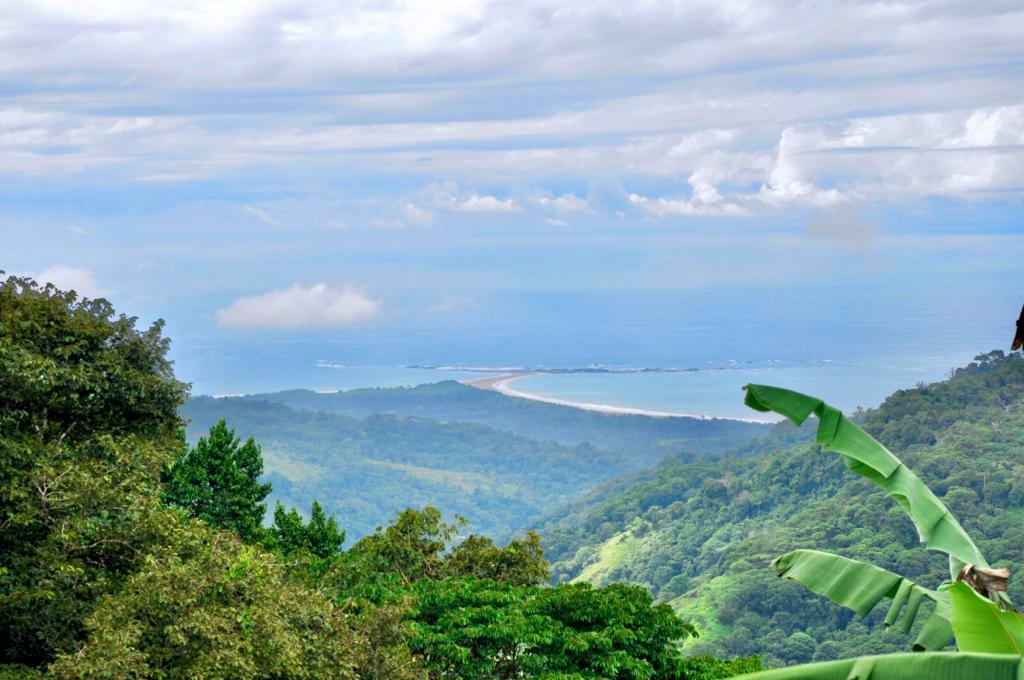 0 bed Land For Sale in Uvita, Puntarenas - thumb 1