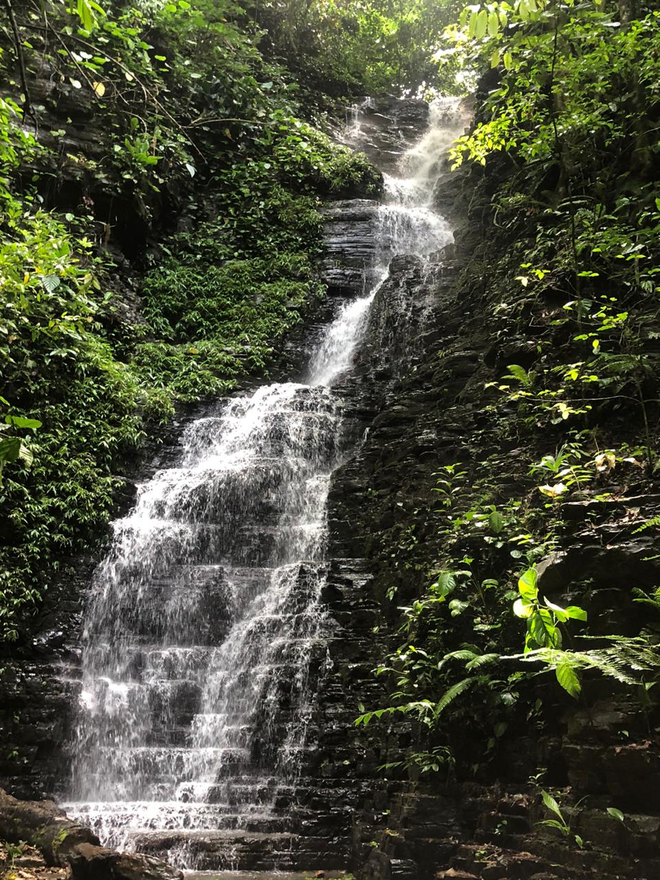 1 bed Land For Sale in Dominical, Puntarenas - thumb 17