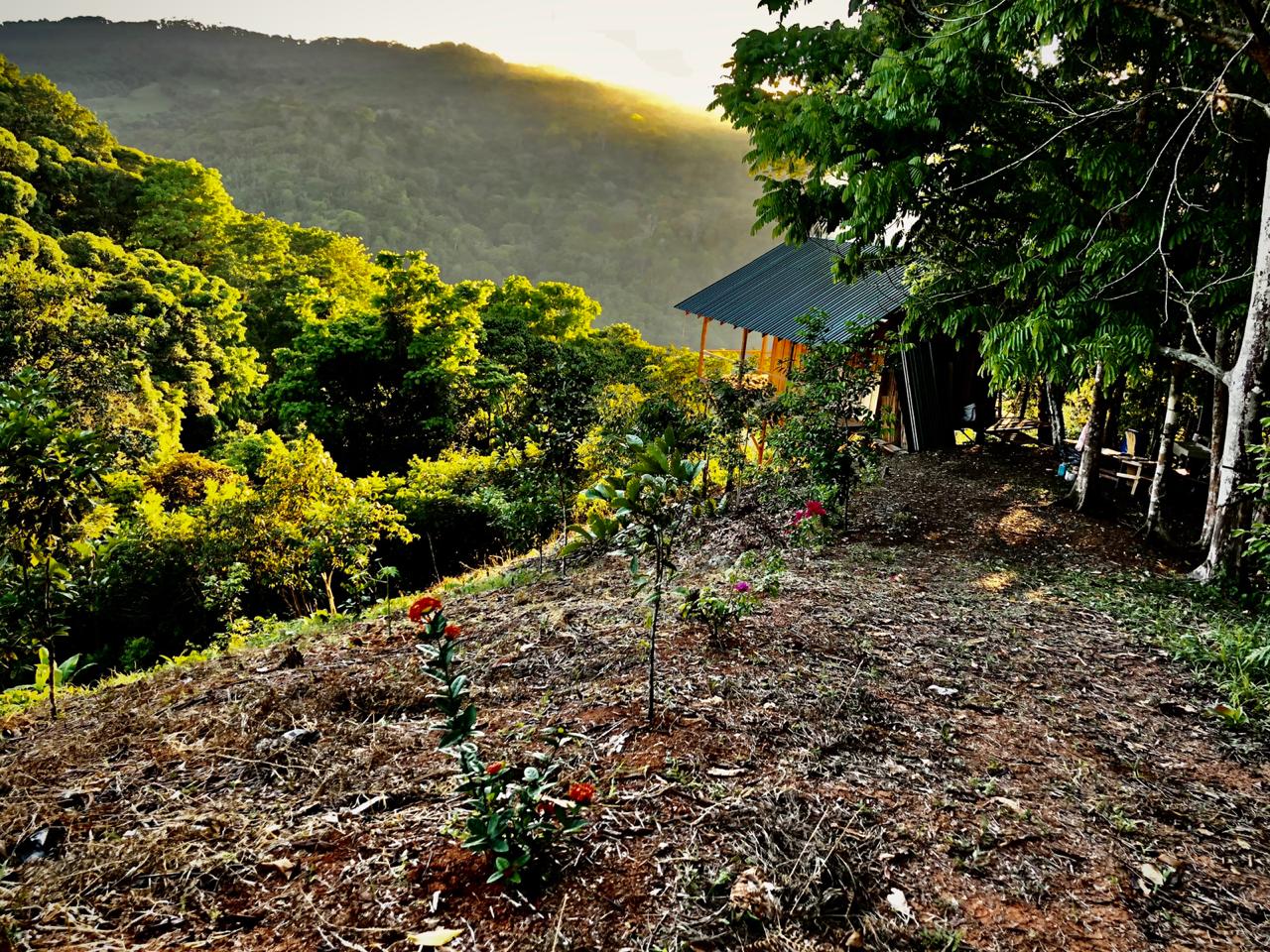 1 bed Land For Sale in Dominical, Puntarenas - thumb 19