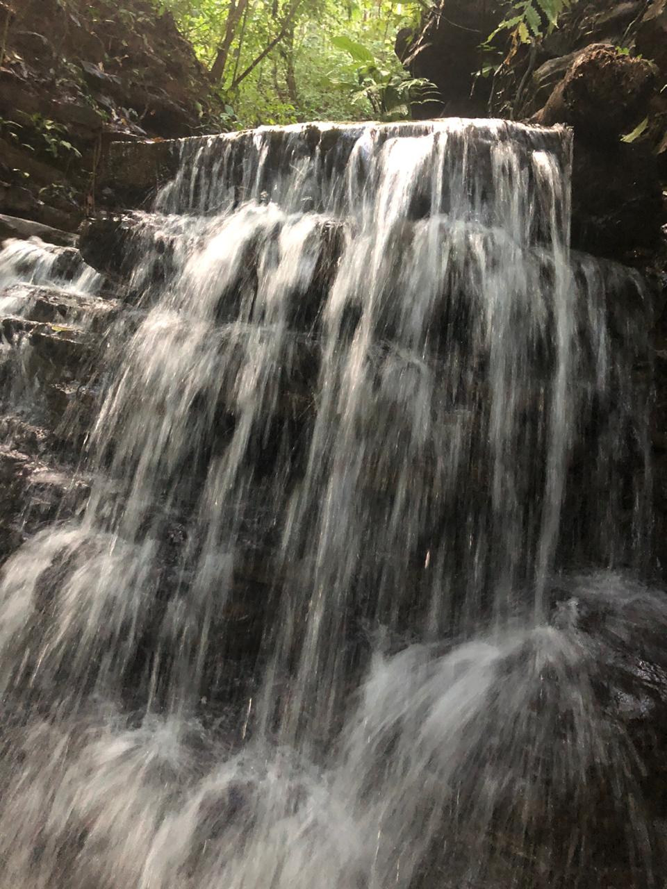 1 bed Land For Sale in Dominical, Puntarenas - thumb 8