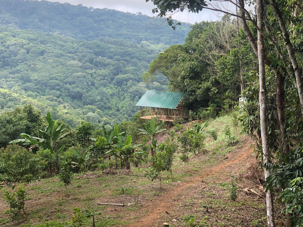 1 bed Land For Sale in Dominical, Puntarenas - thumb 18