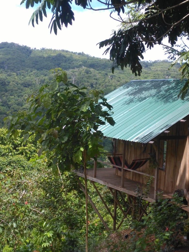 1 bed Land For Sale in Dominical, Puntarenas - thumb 3