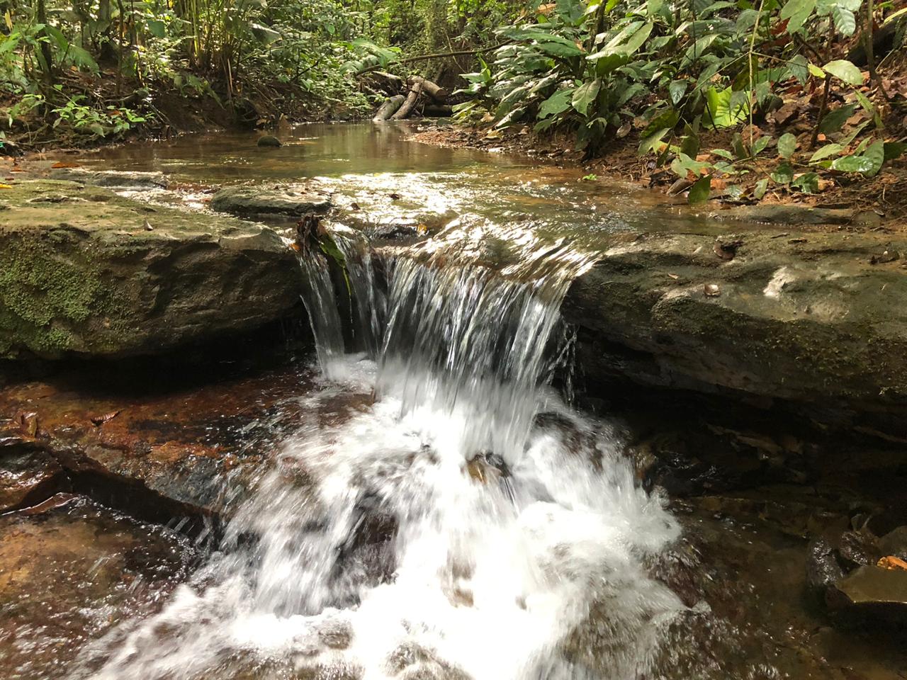 1 bed Land For Sale in Dominical, Puntarenas - thumb 11