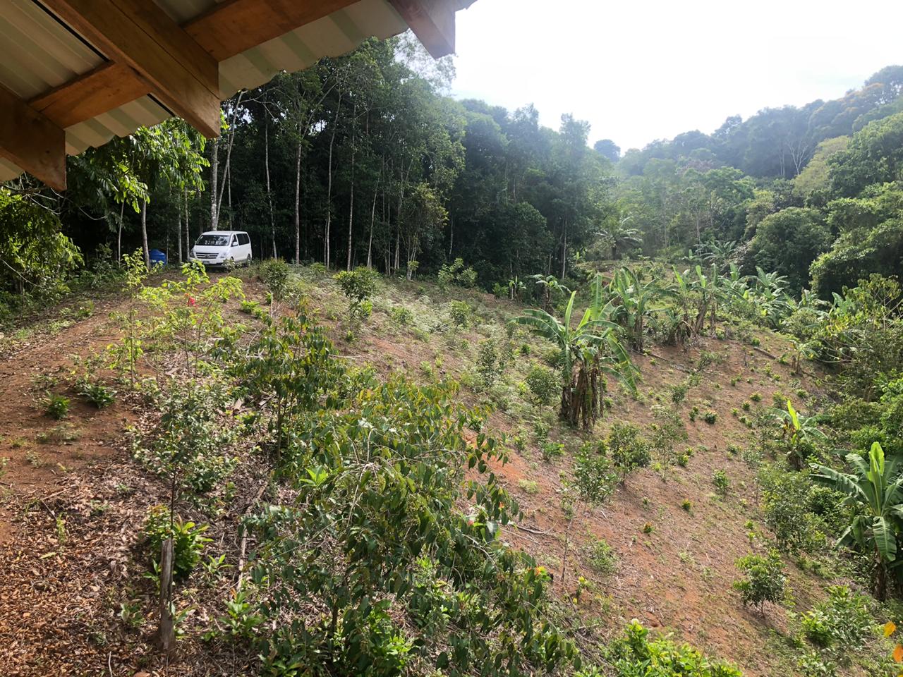 1 bed Land For Sale in Dominical, Puntarenas - thumb 4