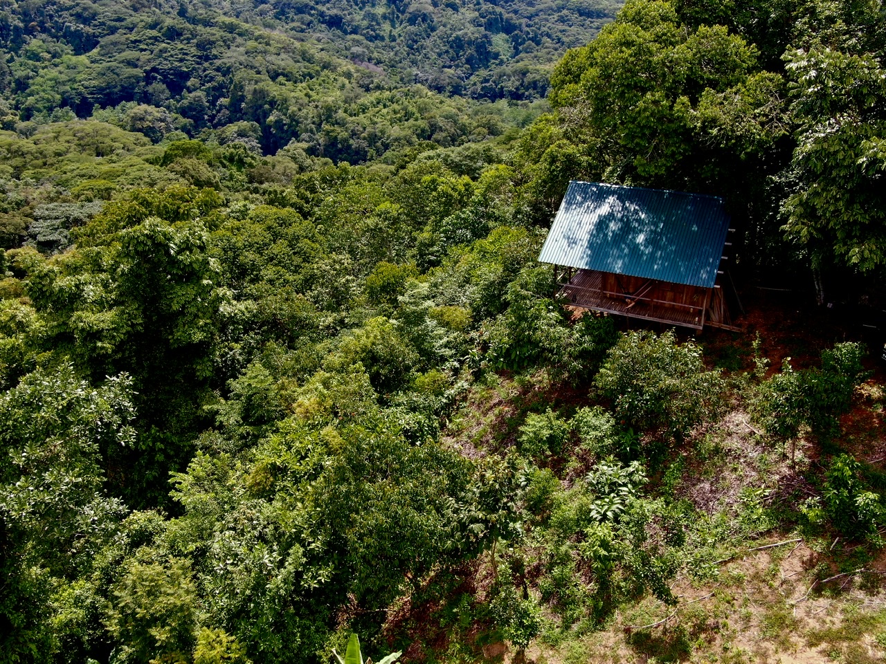 1 bed Land For Sale in Dominical, Puntarenas - thumb 20