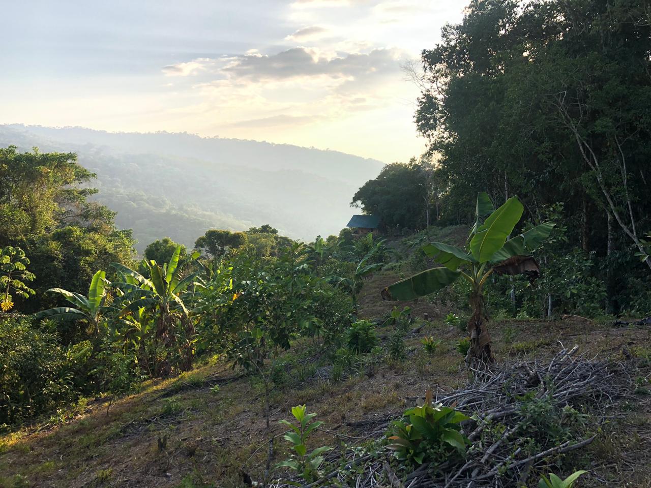 1 bed Land For Sale in Dominical, Puntarenas - thumb 7