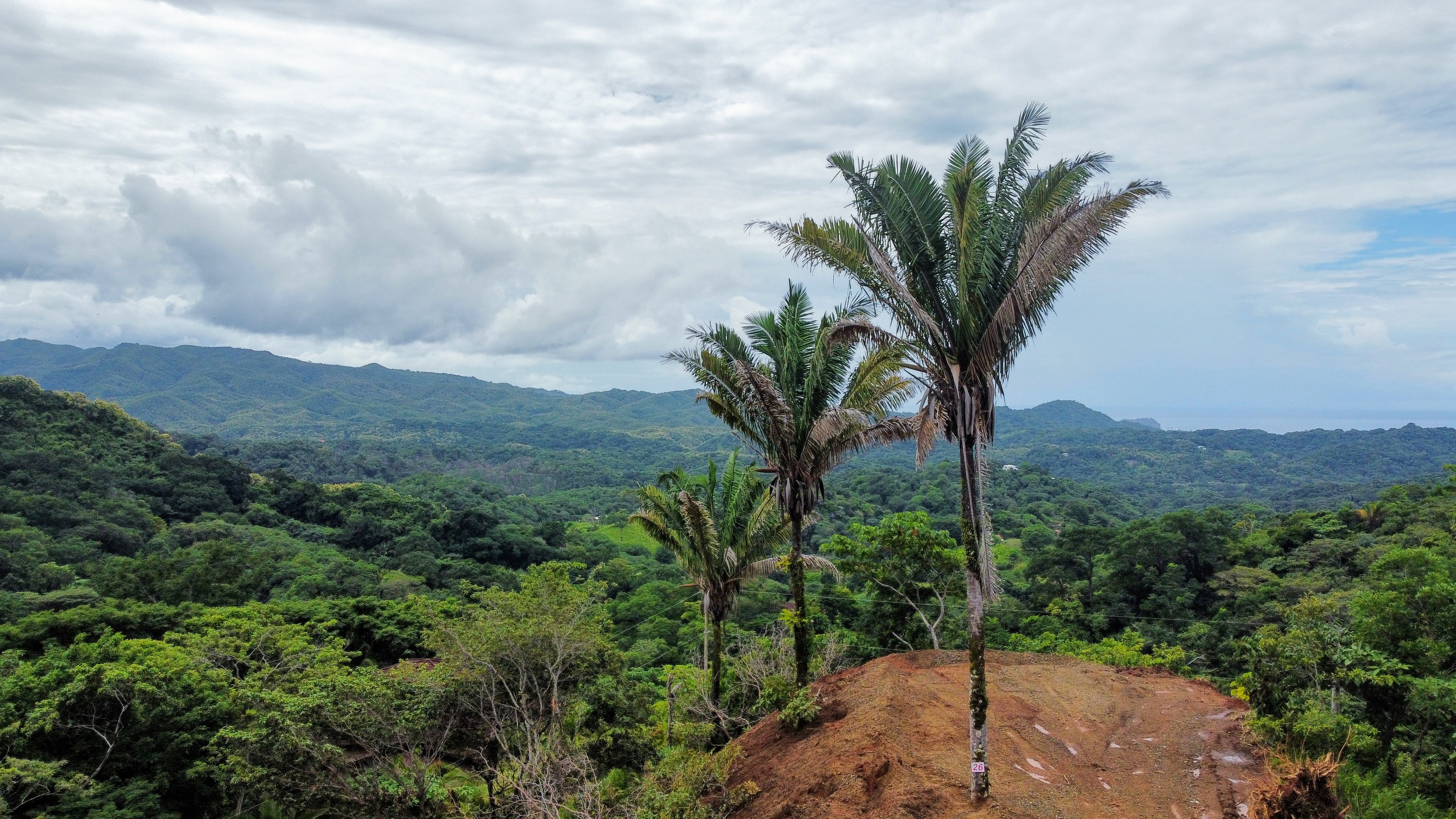 0 bed Land For Sale in Samara, Guanacaste - thumb 5