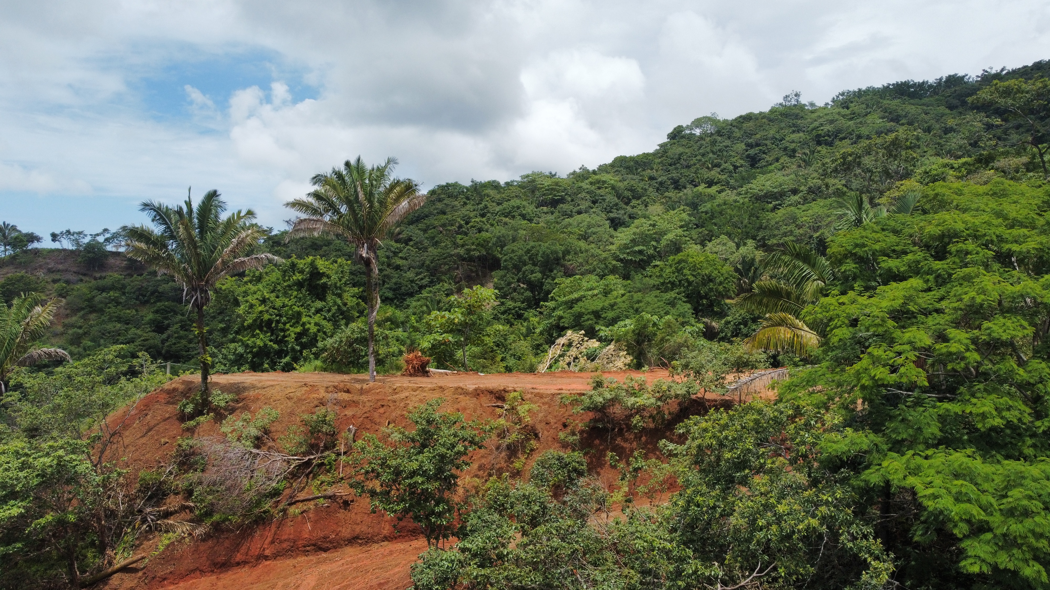 0 bed Land For Sale in Samara, Guanacaste - thumb 17