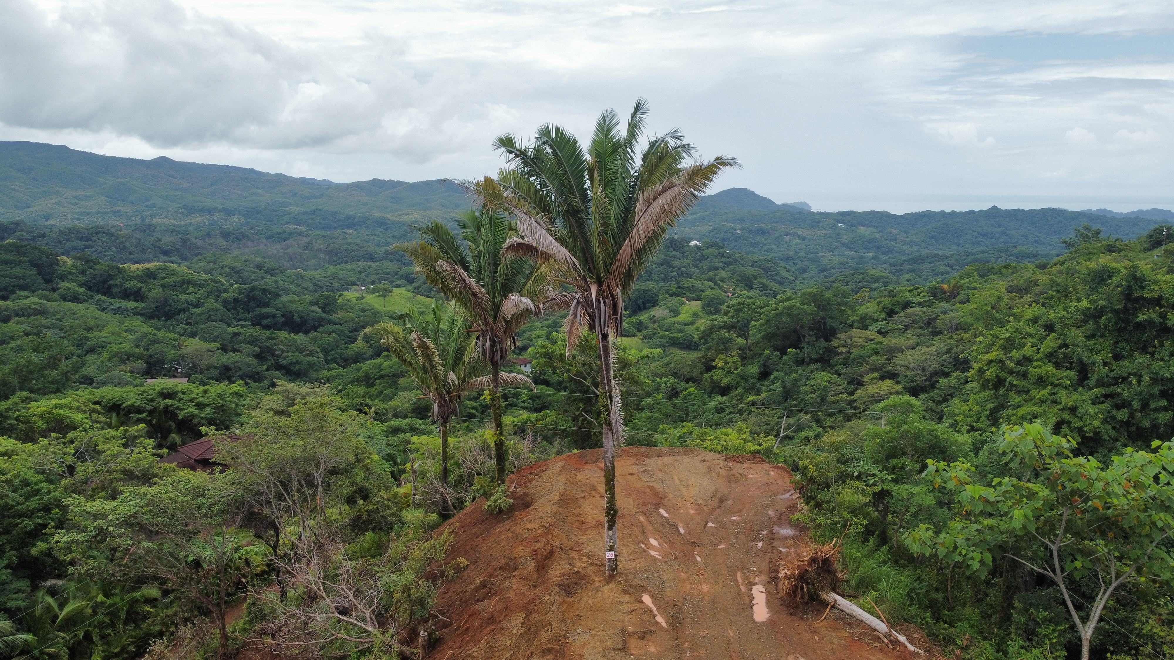 0 bed Land For Sale in Samara, Guanacaste - thumb 4