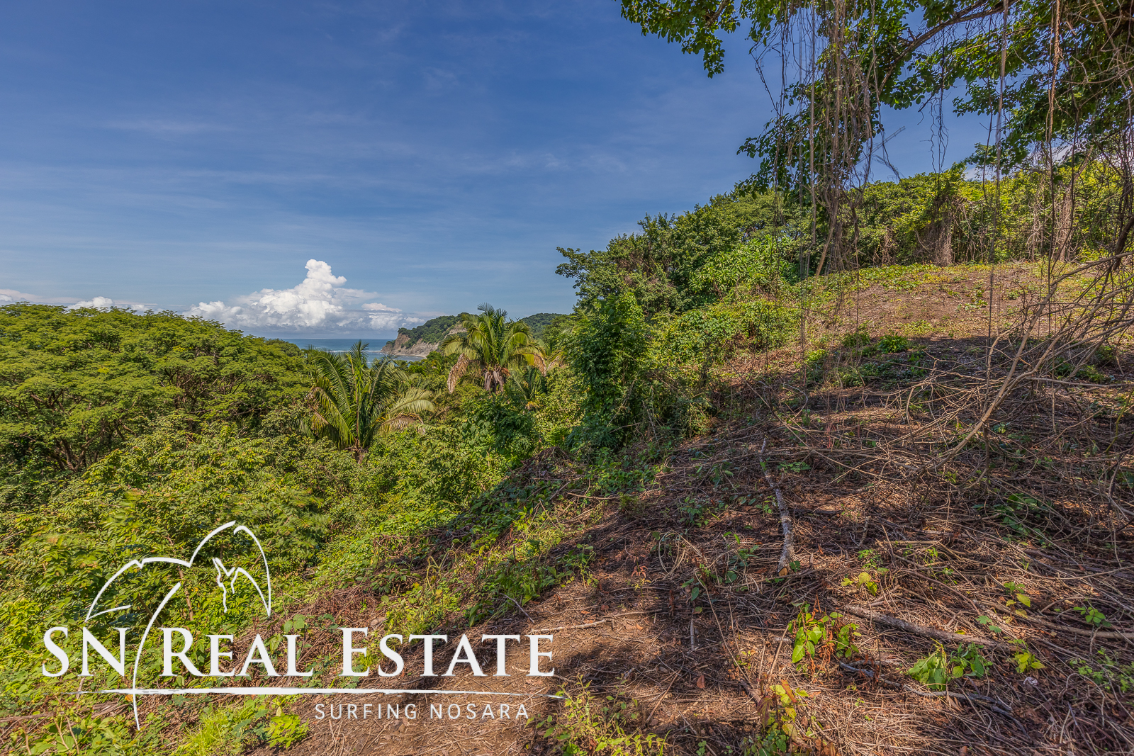 0 bed Land For Sale in Garza, Guanacaste - thumb 13