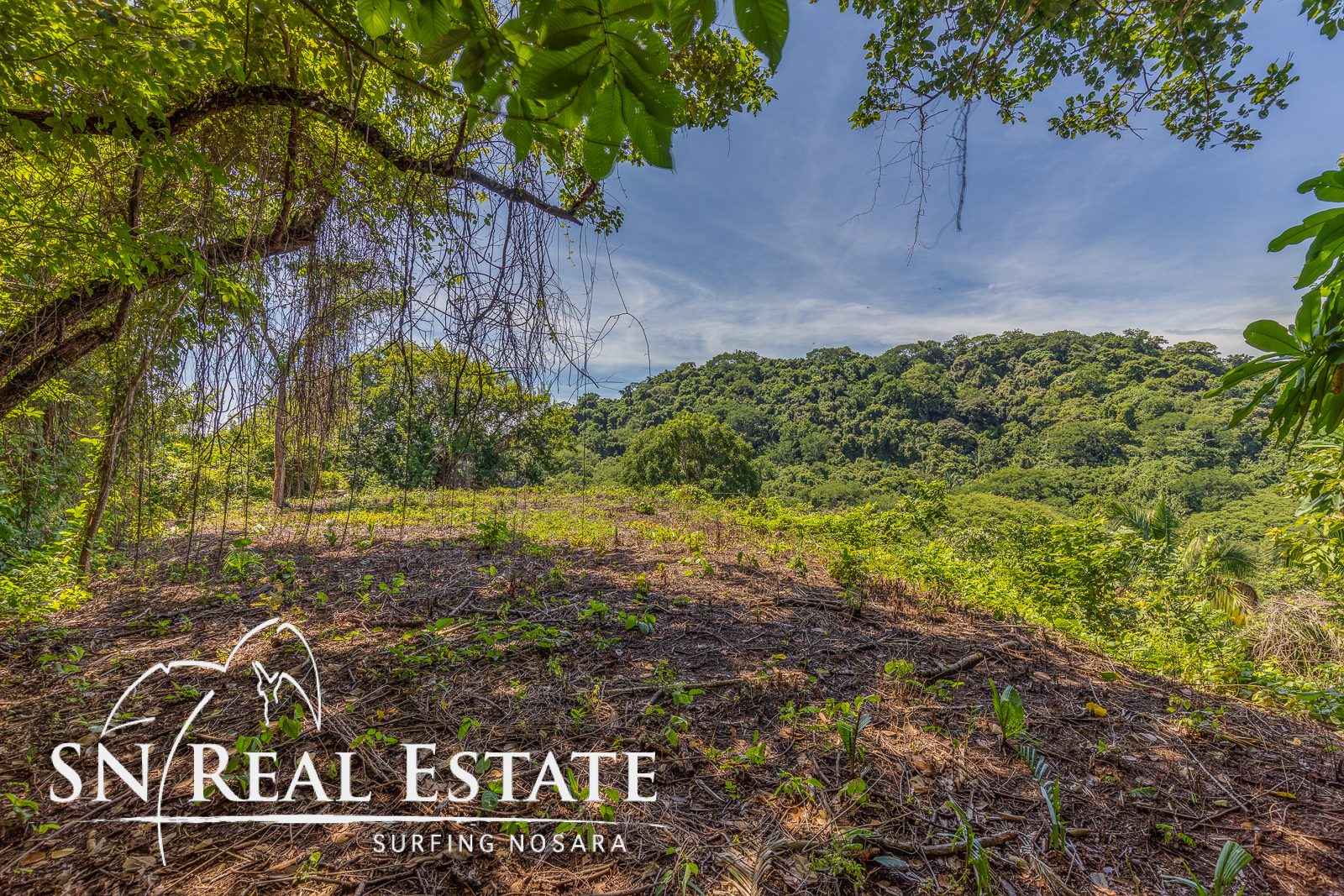 0 bed Land For Sale in Garza, Guanacaste - thumb 11