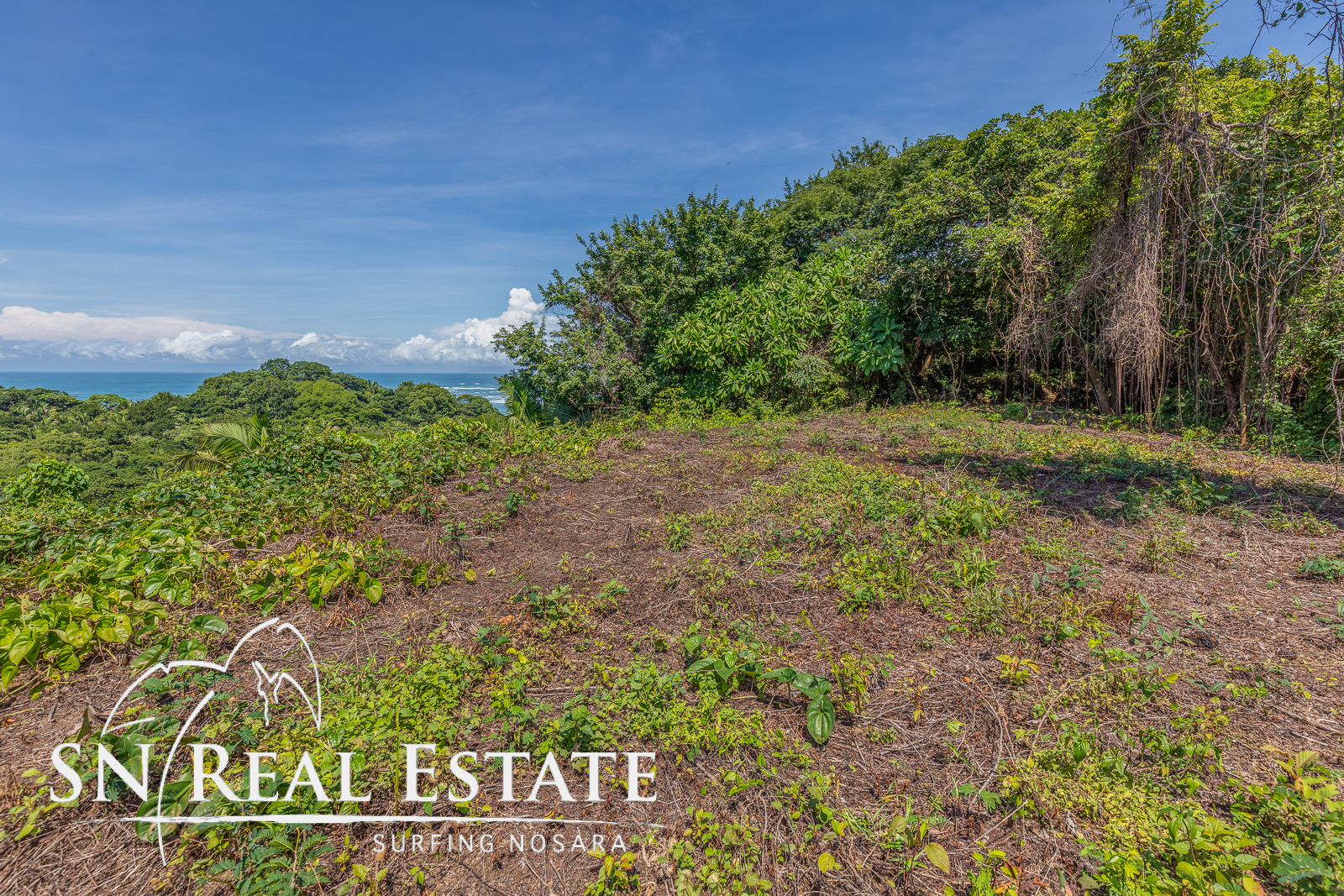 0 bed Land For Sale in Garza, Guanacaste - thumb 12