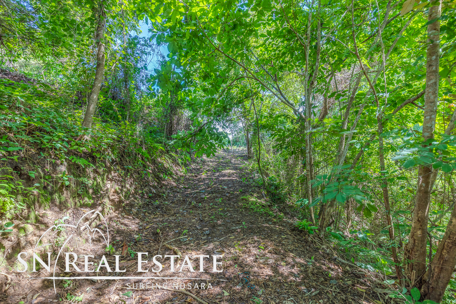 0 bed Land For Sale in Garza, Guanacaste - thumb 10