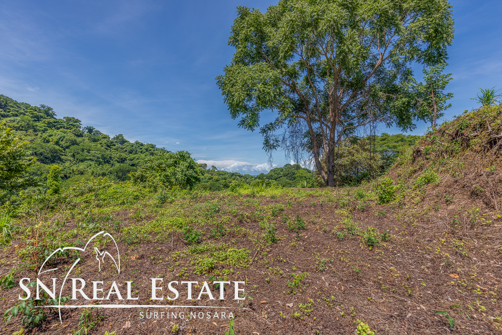 0 bed Land For Sale in Garza, Guanacaste - thumb 15