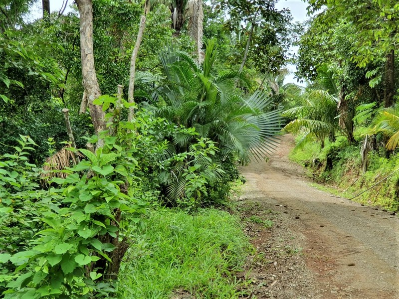 0 bed Land For Sale in Samara, Guanacaste - 1