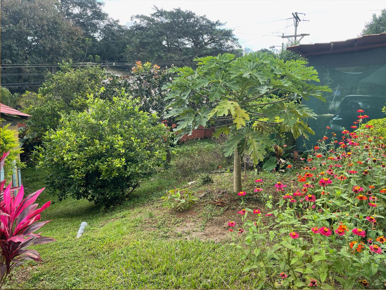 3 bed Single Family Homes For Sale in Atenas, Alajuela - thumb 18