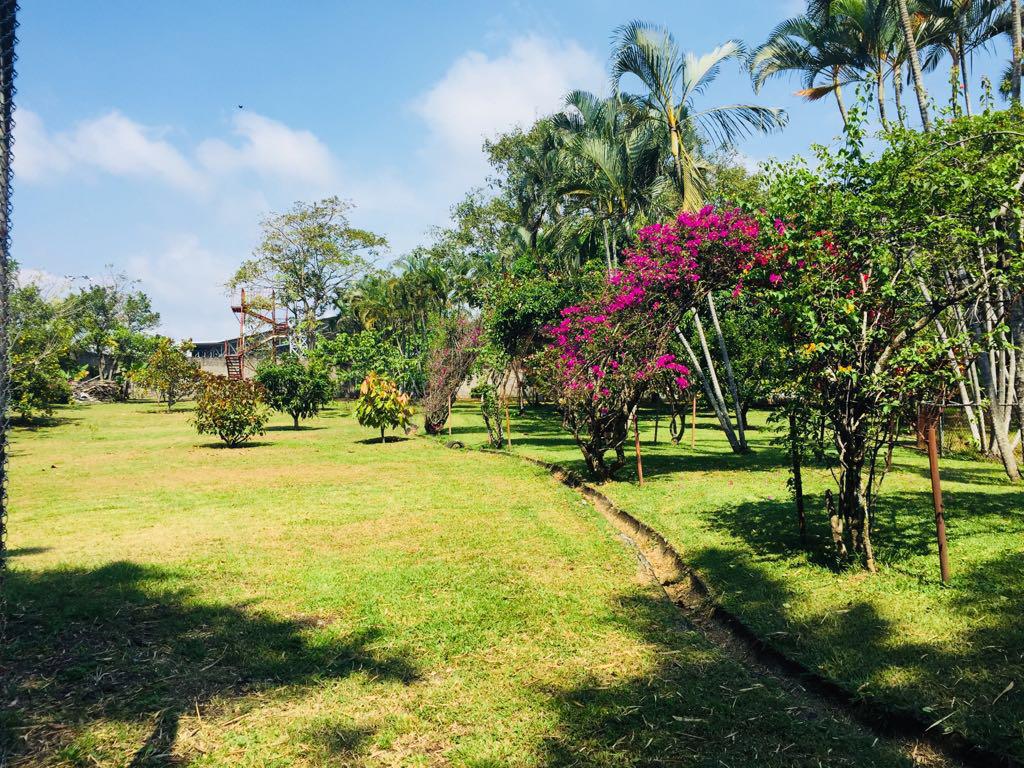 2 bed Single Family Homes For Sale in La Guacima, Alajuela - thumb 22