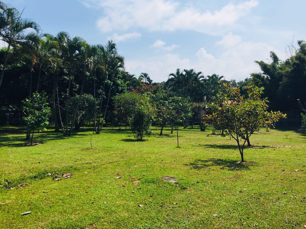 2 bed Single Family Homes For Sale in La Guacima, Alajuela - thumb 30