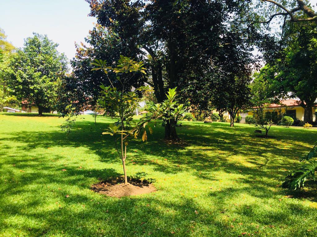 2 bed Single Family Homes For Sale in La Guacima, Alajuela - thumb 26