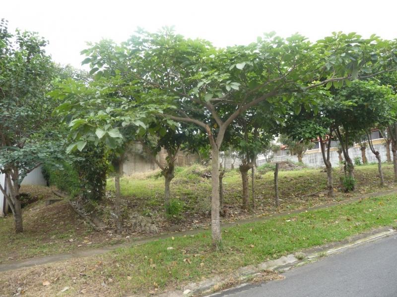 0 bed Land For Sale in Tres Ríos, Cartago - thumb 4