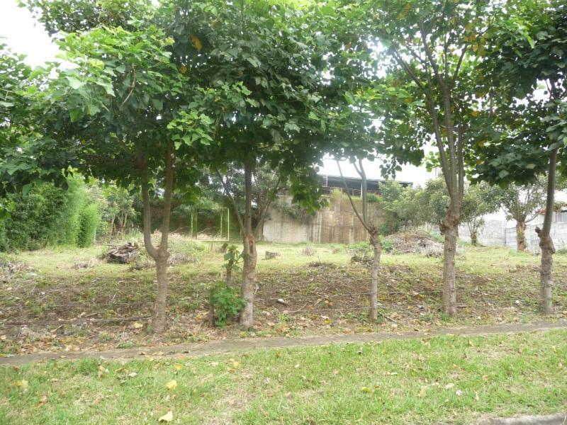 0 bed Land For Sale in Tres Ríos, Cartago - thumb 5