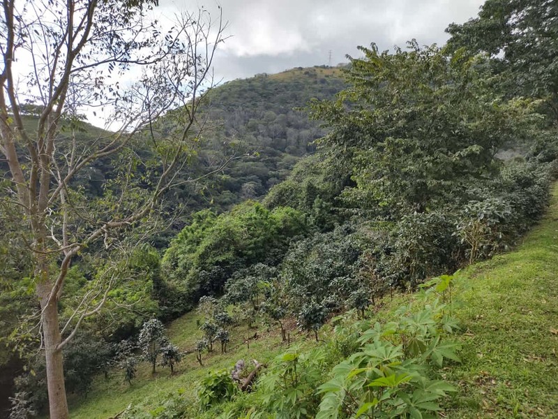 0 bed Land For Sale in Atenas, Alajuela - 1