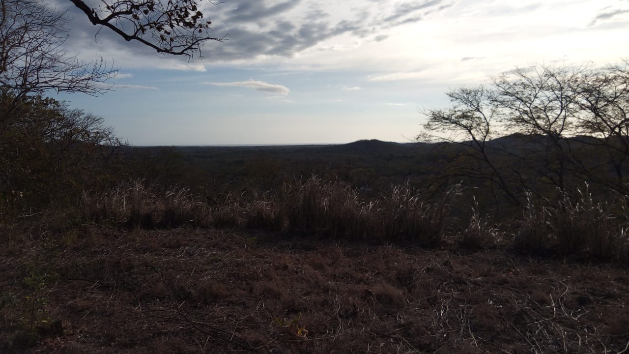 0 bed Land For Sale in Tamarindo, Guanacaste - thumb 19