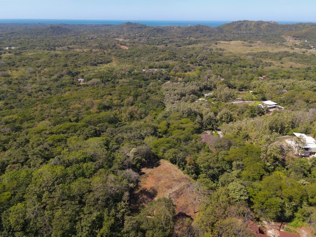0 bed Land For Sale in Tamarindo, Guanacaste - thumb 5