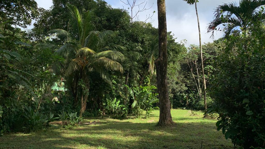 0 bed Land For Sale in Uvita, Puntarenas - thumb 4