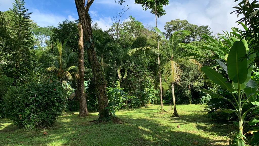 0 bed Land For Sale in Uvita, Puntarenas - thumb 1