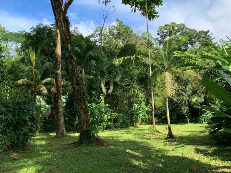 0 bed Land For Sale in Uvita, Puntarenas - 1
