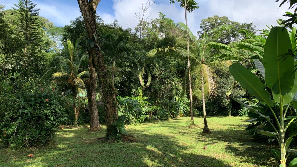 0 bed Land For Sale in Uvita, Puntarenas - thumb 3