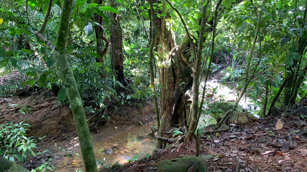 0 bed Land For Sale in Uvita, Puntarenas - thumb 7