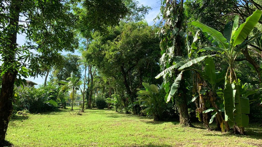 0 bed Land For Sale in Uvita, Puntarenas - thumb 8