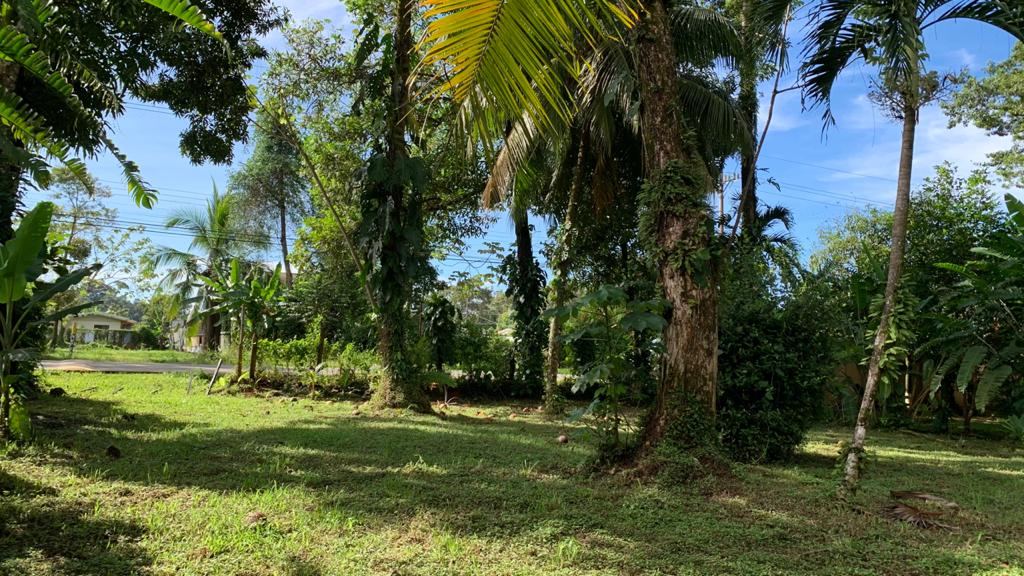 0 bed Land For Sale in Uvita, Puntarenas - thumb 5
