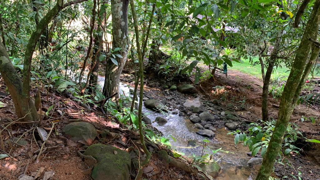 0 bed Land For Sale in Uvita, Puntarenas - thumb 6