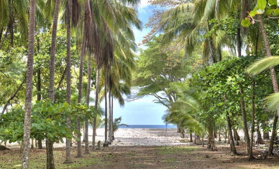 12 bed Single Family Homes For Sale in Samara, Guanacaste - thumb 2