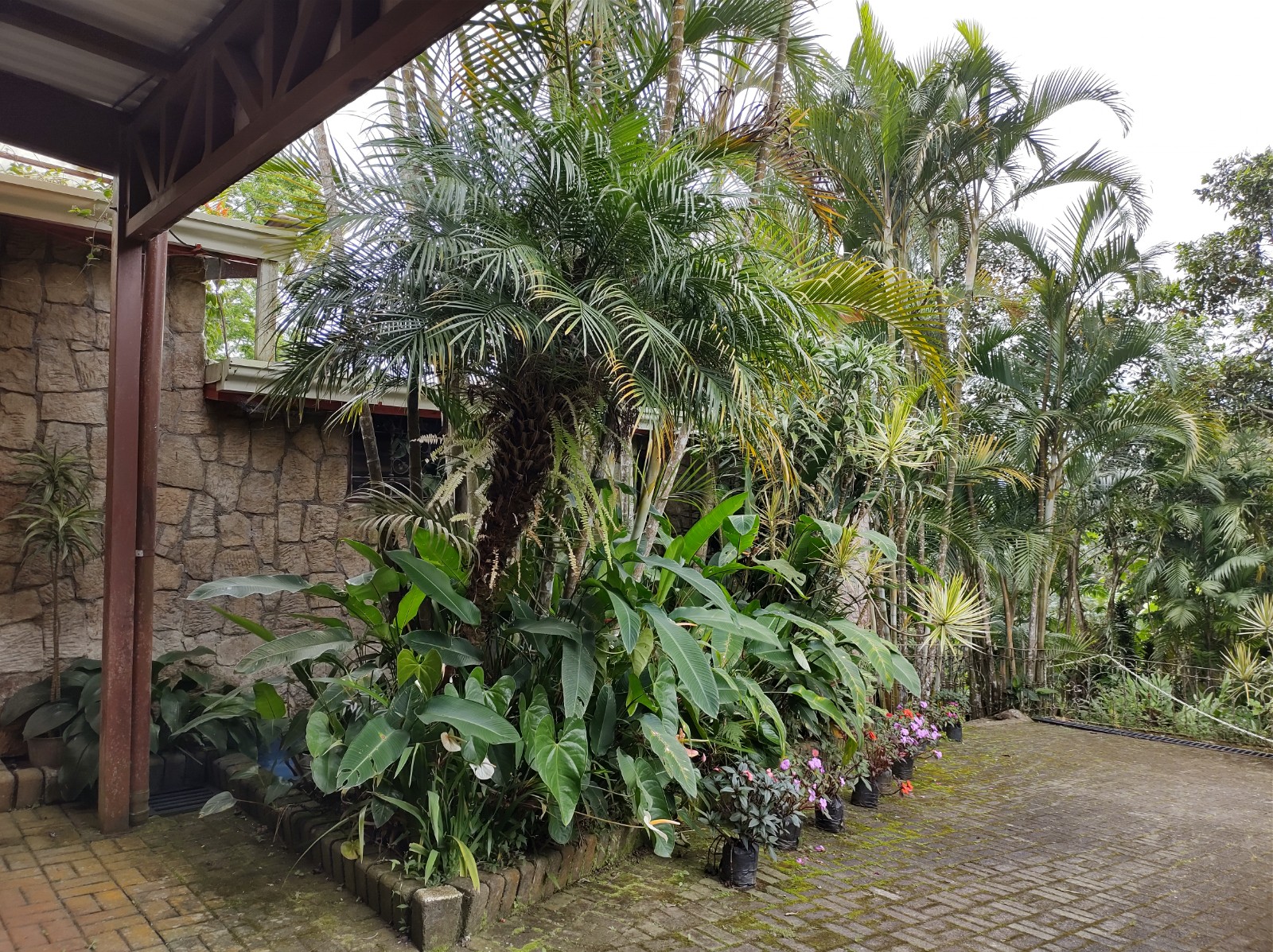 7 bed Single Family Homes For Sale in Tres Ríos, Cartago - thumb 24