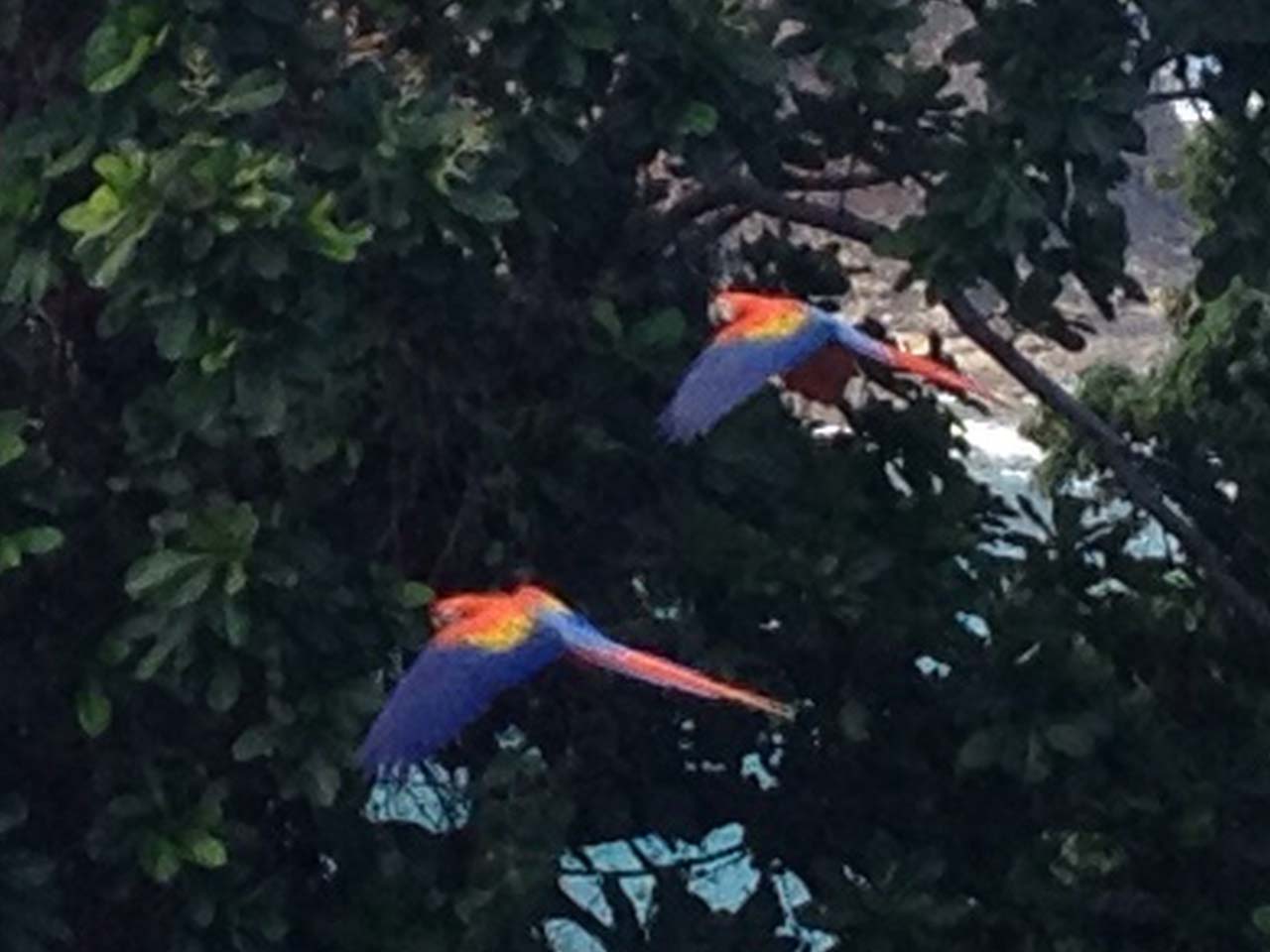 0 bed Land For Sale in Jaco, Puntarenas - thumb 7