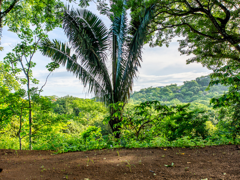 0 bed Land For Sale in Nosara, Guanacaste - 1