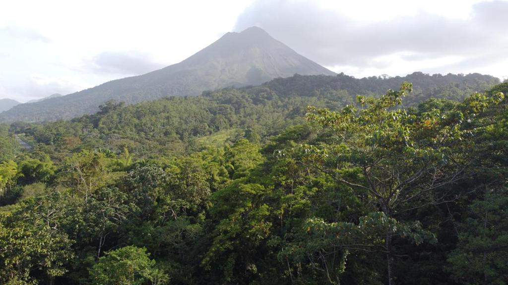 0 bed Land For Sale in La Fortuna, Alajuela - thumb 2