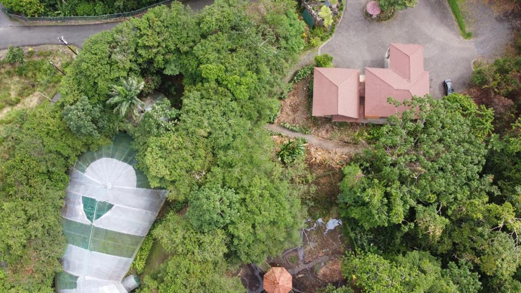 0 bed Land For Sale in La Fortuna, Alajuela - thumb 4