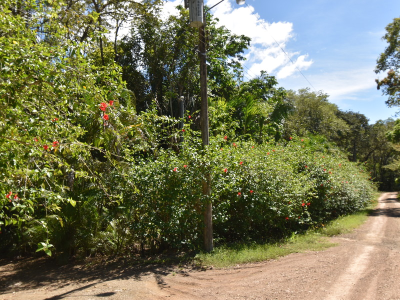0 bed Land For Sale in Samara, Guanacaste - 1