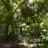  - Lot La Colina Barco Quebrado