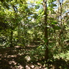  - Lot La Colina Barco Quebrado