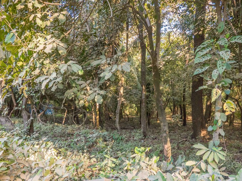 0 bed Land For Sale in Nosara, Guanacaste - 1