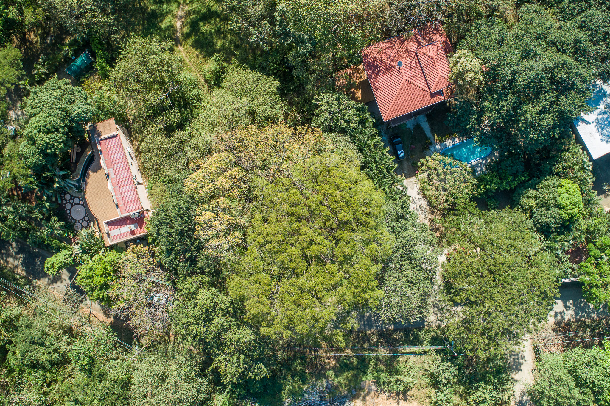 0 bed Land For Sale in Nosara, Guanacaste - thumb 1